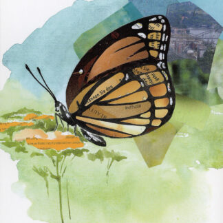 Postkarte Schmetterling