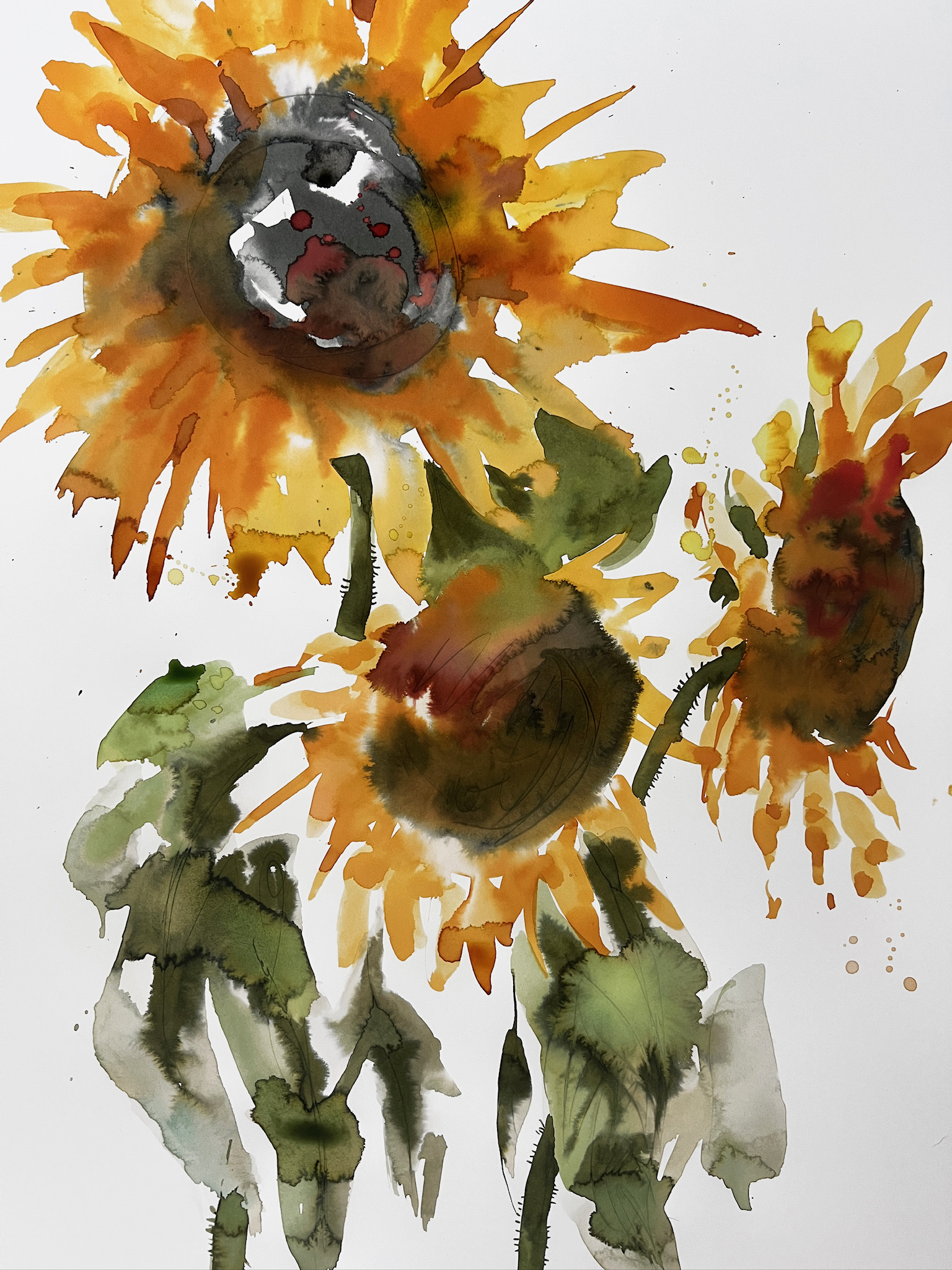 Sonnenblumen